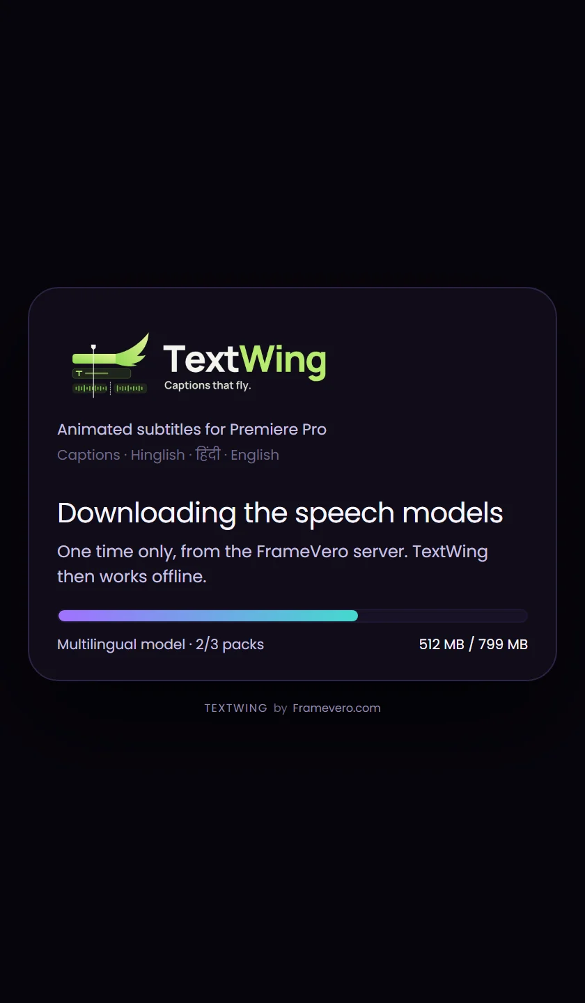 TextWing's first start: the speech models download with a progress bar